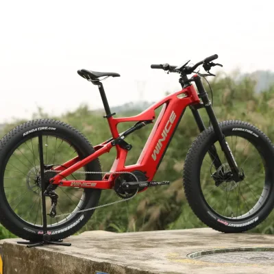 1040Wh Large Battery Fat Tire Snow Bike | DENGFU E56 19 Inch Frame With Bang M620 Motor Winter Off-road Electric Fat Bike