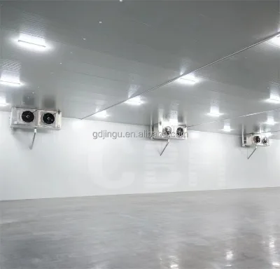 Cold Room Storage Commercial and Home Use Air Cooled Refrigeration Units All-in-one Machine Small Cooling Unit