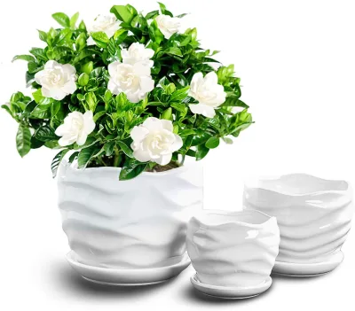 Modern Ceramic Garden Flower Pots White Succulent Cactus Plant Pots