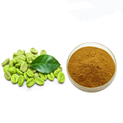 Green Coffee Bean Instant Drink 25% Chlorogenic Acid Green Coffee Bean Extract 50% 60%