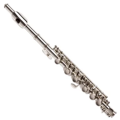 SEASOUND Best-Selling Nickel Piccolo Flute JYPC202N 16 Holes Wood Body with Leather Case Closed Nose Includes OEM Instrument