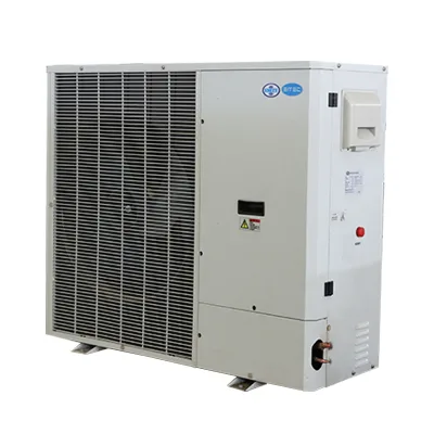Cold Storage Unit High-Performance Air-Cooled Condensing Energy Saving Remote Controlled