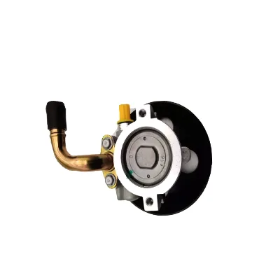 Steering Control Hydraulic Power Steering Pump 96550071 for Chevrolet Daewoo Lacetti Nubira J200 F14D3 F16D3