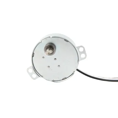 Brazil Market Hot Sale Synchronous Motor 220V for Barbecue Grill