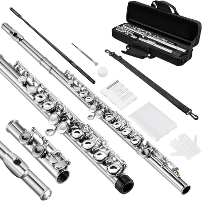 16 Hole Open Hole C Tone Silver Plated Flute With E Key Split Professional Student Flute Instrument Complete Accessories Carry