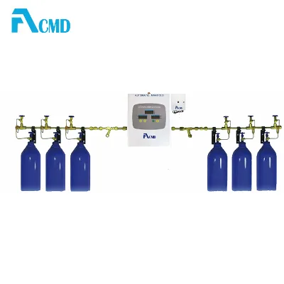 For Medical Gas Supply Medical Manual Manifold Systems medical gas pipeline manifold With External filter