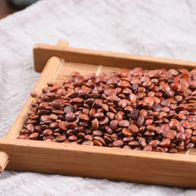 Zizyphus Jujuba Seed Spine Date Seeds Brown All-natural Raw Dried Ripe Granules Herb Sleep Aid
