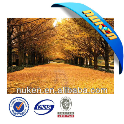 3D Decorative Pictures of Forest Scenery Oil Painting 3d Hologram Pictures