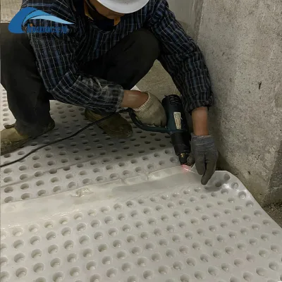 Tunnel Liner Drainage Cuspated HDPE Drainage Board Manufacturer