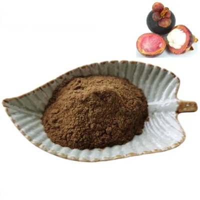Wholesale Pure Natural Mangosteen Extract Powder 10%-90% A-Mangostin Garcinia Mangostana Extract in Food Grade