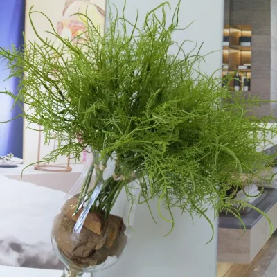 Fern Grass Bundle Water Fern Asparagus Home Flower Arrangement Wedding Handheld Bouquet Leaf Bundle