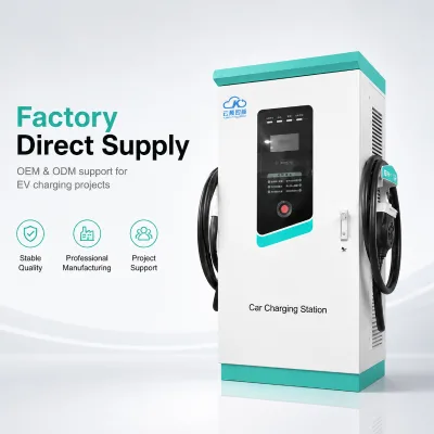 60KW DC Fast Charger Dual-Gun with OCPP 1.6 for Commercial Fleets and EV Stations - IP54 Supplier