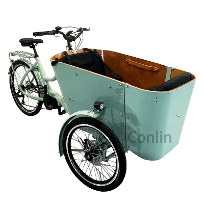 Factory Price Electric Bike With Child Seat Family Use Electric Bike With Kids Seat