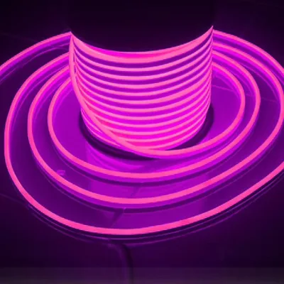 Christmas Decoration IP65 Strip Neon Rope Light 220V 120LEDs/M Dimmable 2-Year Warranty Pure Copper Wire 160 Beam Angle 6000K