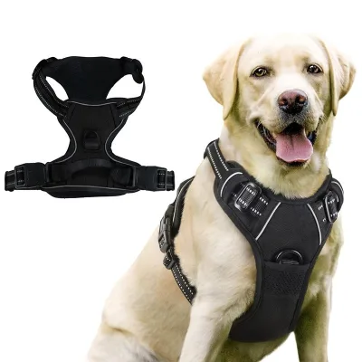 No Pull for Large Dogs with 2 Leash Clips with Adjustable Soft Padded Dog Harness