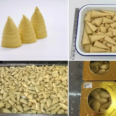 High Quality Canned Bamboo Shoot Tips for Big Promotion Bulk Sale