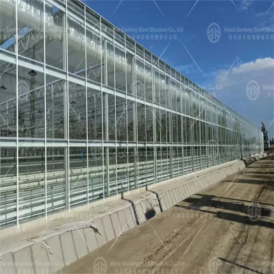 Customizable Prefab Grow Medical Plant Poly Carbonate Poly Tunnel Greenhouse With Compression Spring Circlip Slot