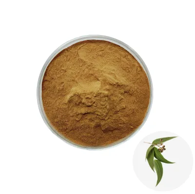 Herbal Extract Eucalyptus Leaves Extract 20:1 Eucalyptus Leaves Powder Fresh Goods