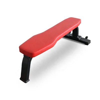DGZ DGZ-1747 Durable Steel Frame Flat Bench for Indoor Use