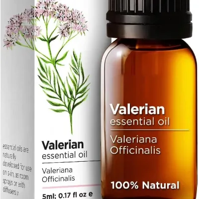 Soothing Sleep Valerian Essential Oil Aromatherapy Indoor Artifact Herbal Extracts Essences Moisturizer Sleep 5ml Volume