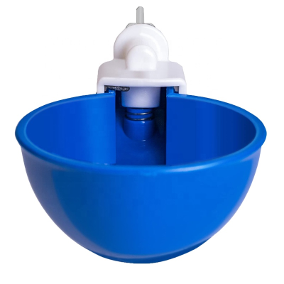 Water Cup