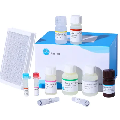 FineTest Custom Chemical Services Human LEP ELISA Kit for Scientific Research Quick Leptin Assay Reagents
