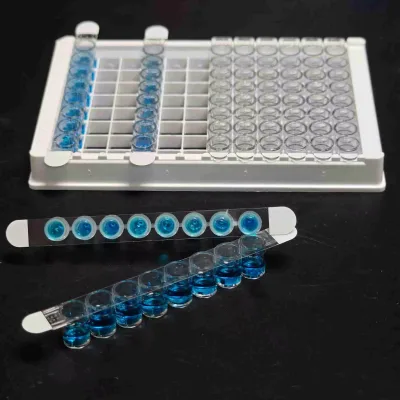 1x12 Transparent 180um 90x9.2mm Polyester Fiber Film Strip 180um 90x9.2mm(Strip) for ELISA Plate Plastic Product