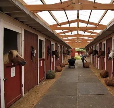Manufacturers China Miniature Easy Clean Mobile Bamboo Wooden Steel Galvanised Stable Sheet Horse With Swing Door