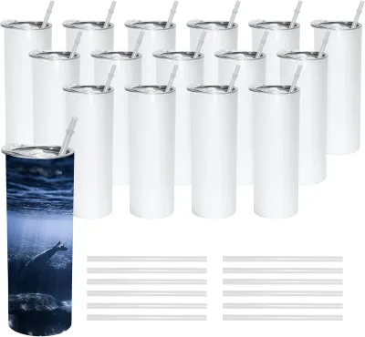 Stainless Steel 20oz Straight Sublimation Blanks Tumbler Mug With Straw and Lid for Coffee Milk Tea