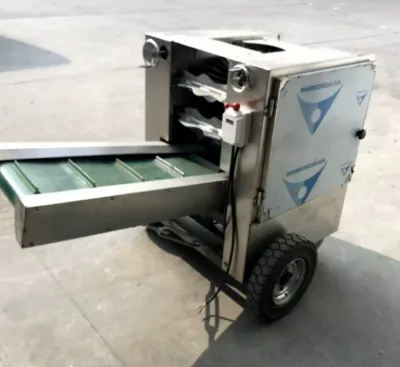 New Design High Capacity Coconut Husking Machine User Friendly Coconut Shell Peeling Machine for Coconut Beverage
