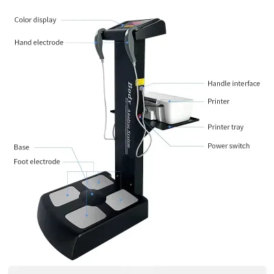 Body280 Standing Body Composition Analyzer Beauty Salon Gym Home Use Targeted Body Fat Analyzer EU US Plug for Body Care Device