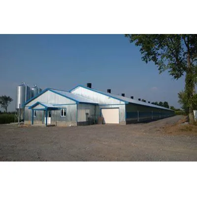 Prefabricated Steel Structure Construction Metal Frame Poultry Broiler Farm Prefab Chicken House With Full Set Poultry Equipment