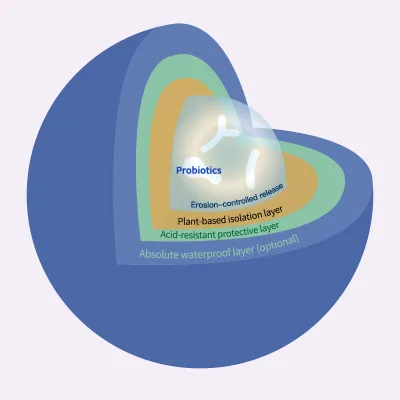 OEM Probiotic Microsphere Manufacturing Service Over 70% Probiotic Viability Microencapsulation for Health Supplement