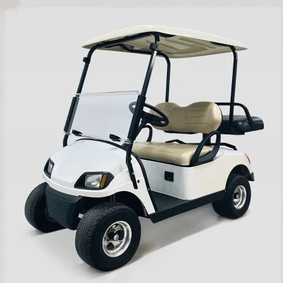 Electric 4x4 Golf Cart with 48V Battery Individual Gasoline Powered Golf Cart