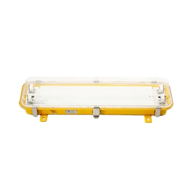 Exd IIC T4  Steel IP56 Marine Explosion-proof Fluorescent Light CFY21-2