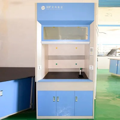 Chemical Laboratory Furniture Fume Cabinet Desktop Ductless Walk-in Fume Hood