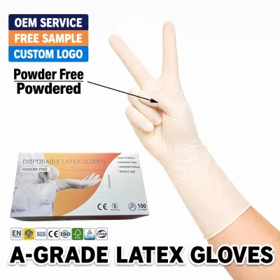Extra Long Latex Gloves Powdered Examination Biodegradable Natural Rubber Powder Free Pro Grade 100 Breathable