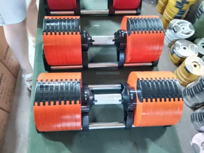 Custom Logo Adjustable 24kg Cast Iron Dumbbell Set Rotation Easy to Store in Any Scene Small Floor Space for Gym Use