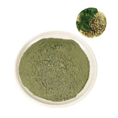 Factory Supply High Quality Oregano powder Wholesale Price Fresh Goods
