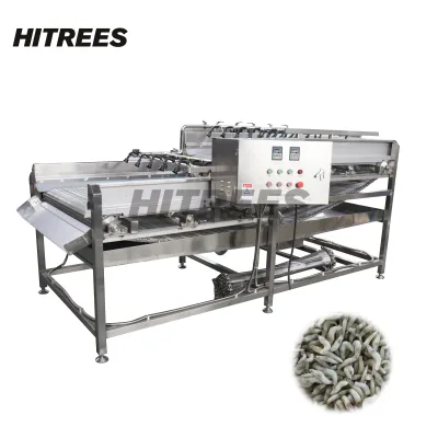 Sanitary Automatic Ice Glazing Machine for Ready to Eat Foods with Hygienic Construction