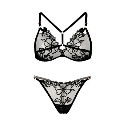 Wildness Sexy Lace Women Bras Set Transparent Seamless Women Underwear Set