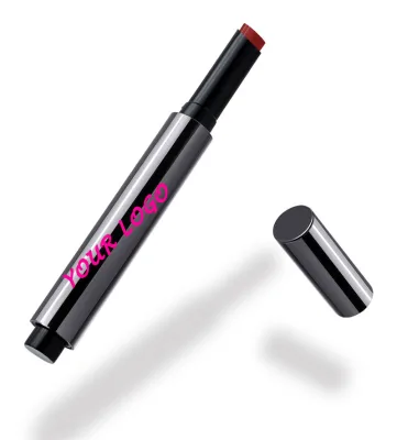 Waterproof Lasting Pigmented Vegan Lipstick Press Lipstick Long Lasting Custom Your Own Brand Moisturizing Click Lipstick