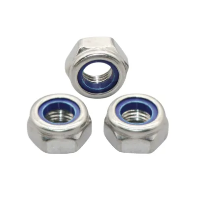 Wholesale Stainless Steel Nylon Lock Nut Medical Grade 316L Passivated Instrument Equipment OEM ODM Factory
