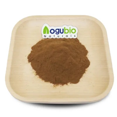 Bulk Devil's Claw Extract Harpagophytum Procumbens Extract Food Grade Devil's Claw Extract 5% Harpagoside