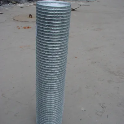 Snake Rat Proof 1/4 Inch Galvanized Welded Wire Mesh Fence