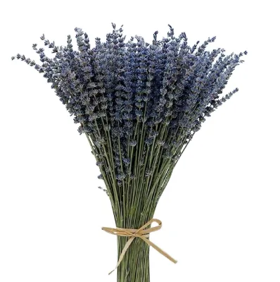 100% Raw Natural New Preserved bunch True Dried Blue Lavandula Officinalis Flowers Bundle for Decoration