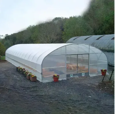 Factory Price Prefab PU Film Expandable Greenhouse for Planting Vegetables