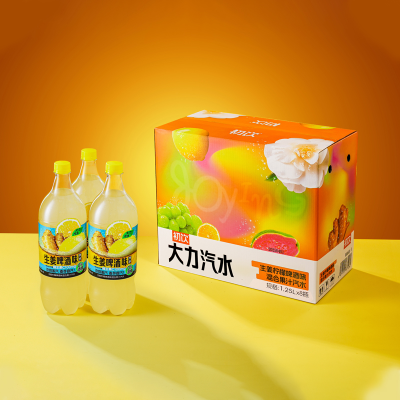 Wholesale 1.25kg Soda Drinks 3 Flavor Good Taste 0 Fat Healthy Beverage Large Capacity Soda