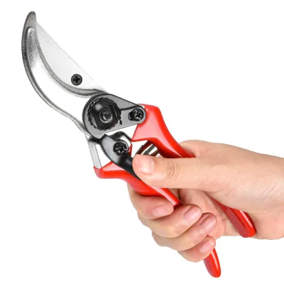Effortless High Carbon Steel Fruit Tree Pruner China's Garden Cutting Straight Head Blade Scissors for Pruning Trimming