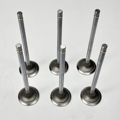 6PCS One Set Intake Valve R520223 for 9780 CTS 9780I Cts C670 CH570 CH670 E400